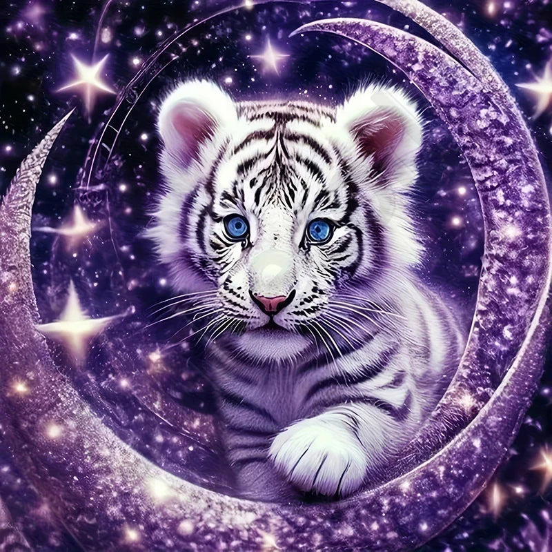 Diamond Art Painting Kits Accessories Paint Full Crystal New Mosaic 5D Diy Diamond Paintings 30x30 cm New 2025 Wall Art Pictures