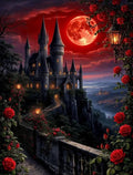 This AB 5D DIY Diamond Painting Kit Features a cartoon Christmas Castle Design and Is an Ideal Choice for Beginners.
